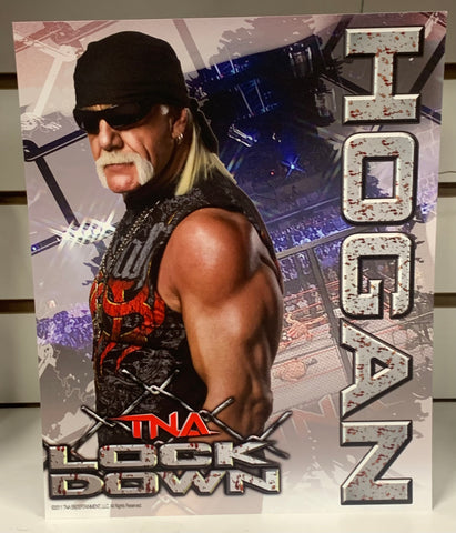 Hulk Hogan Official TNA Lockdown Promo (Authentic Promo)