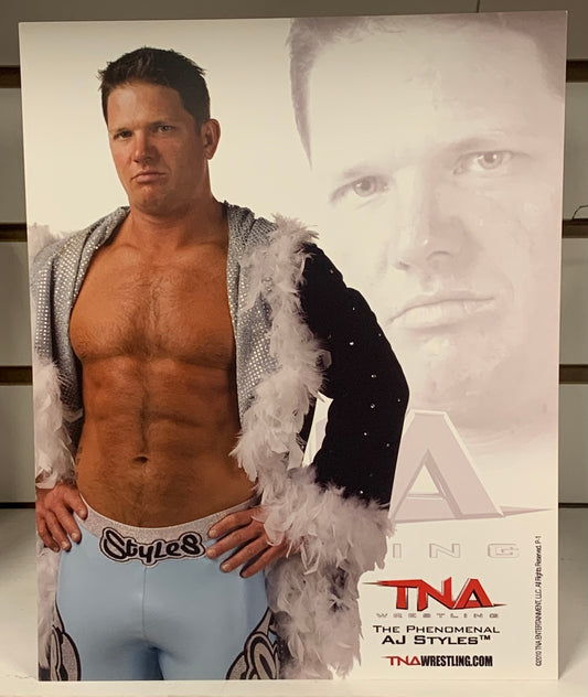 AJ Styles Official TNA Promo 2010 (Authentic Promo)