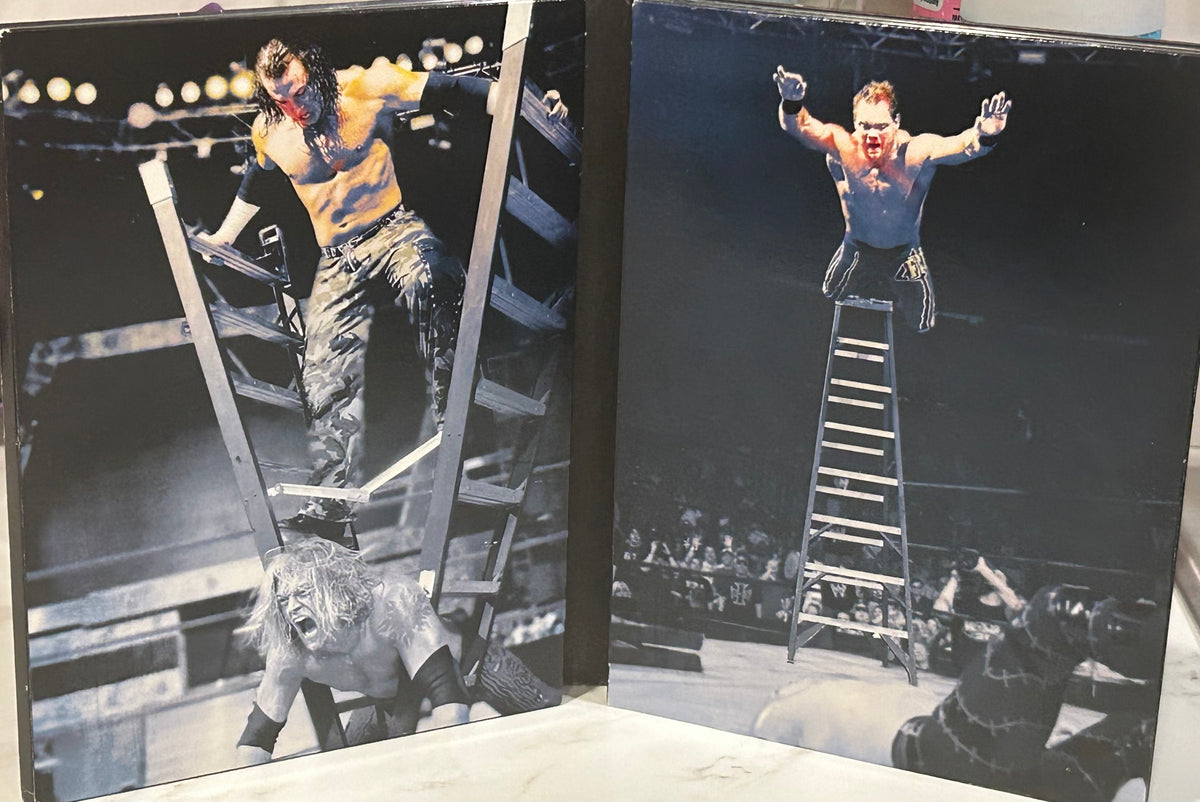 + WWE DVD “The Ladder Match” (3-Disc Set)