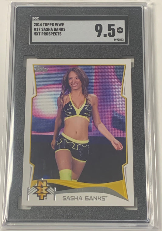 Graded Wrestling Cards The Wrestling Universe Graded Wrestling Cards The Wrestling Universe