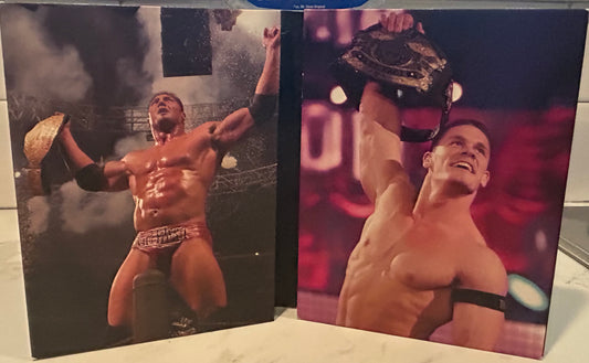 + WWE DVD “Wrestlemania 21” (3-Disc Set) Includes Hall of Fame Ceremony