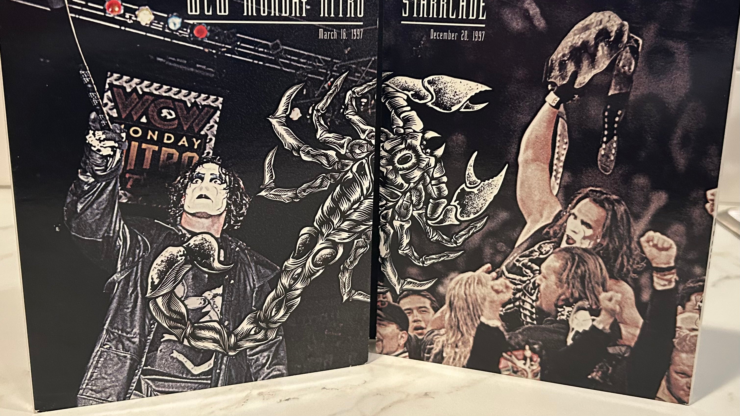 スティング/WWE ベスト・オブ・スティング〈3枚組〉 WWE DVD “The Best of Sting” (3-Disc Set) – The Wrestling Universe