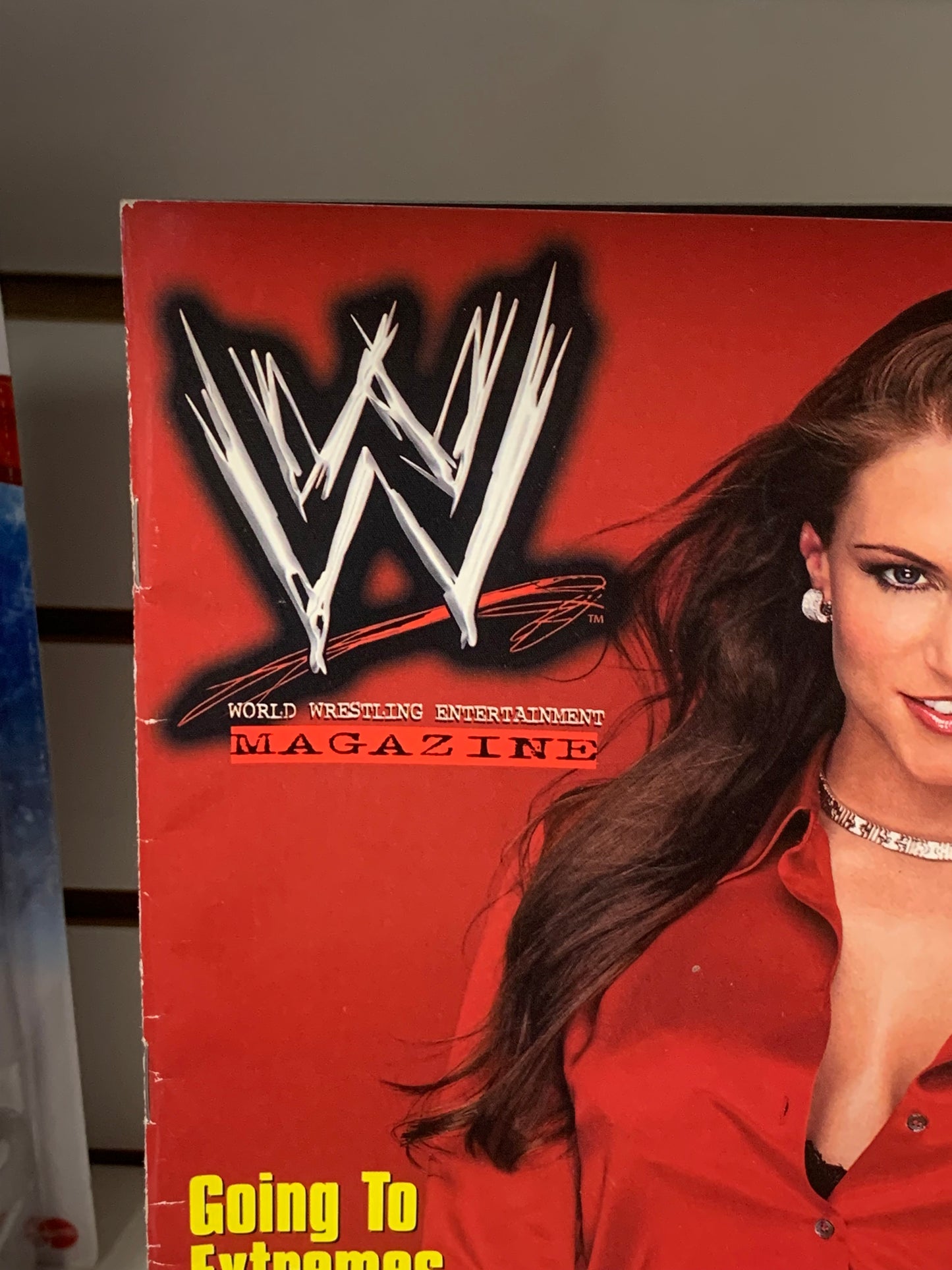 WWE Magazine Summer 2002 (Stephanie McMahon Poster)