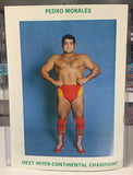 WWF WWE Official MSG Program 10/20/1980 (Tony Garea, Pedro Morales & much more)