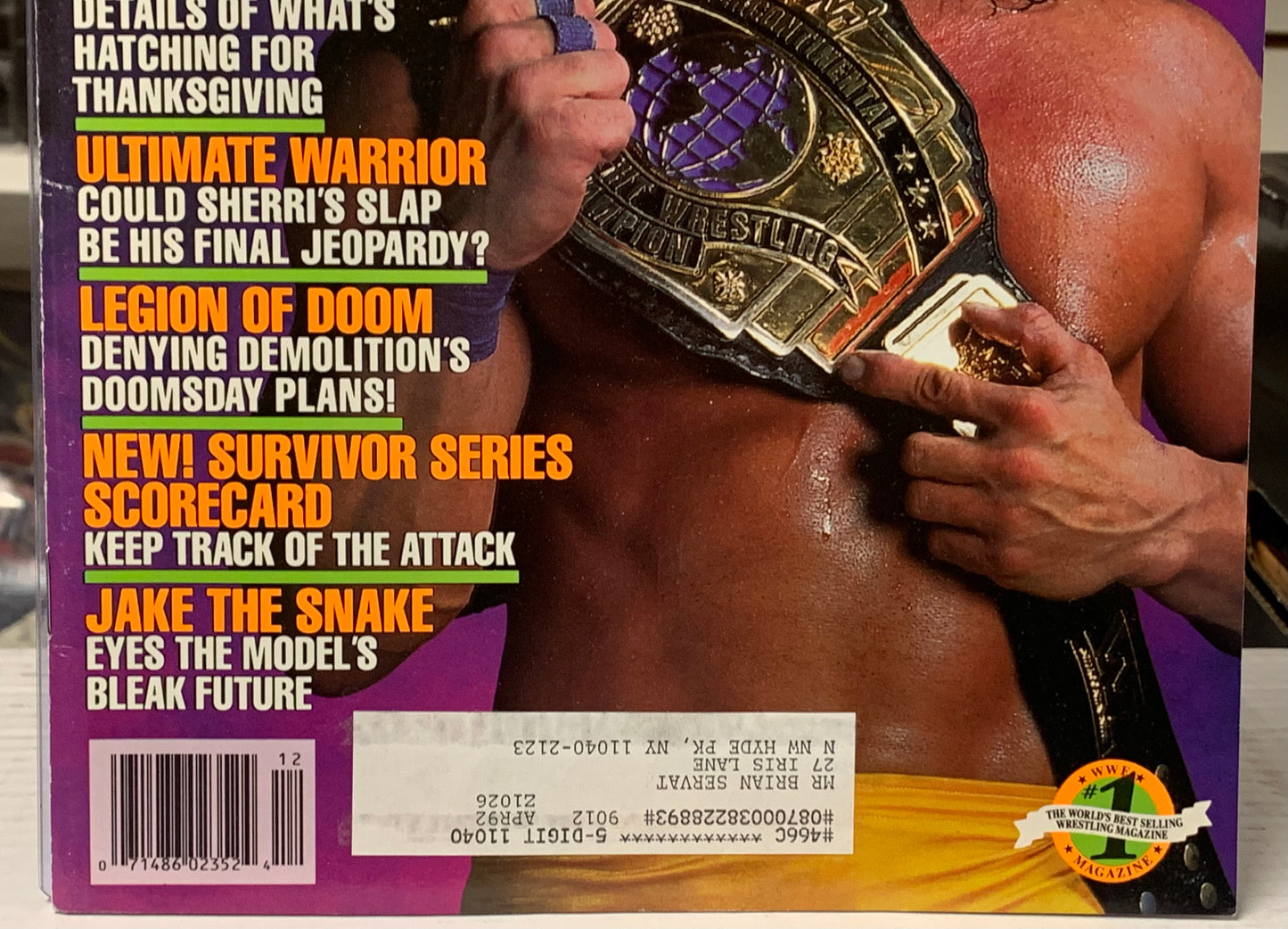 WWF WWE Magazine December 1990 TEXAS TORNADO