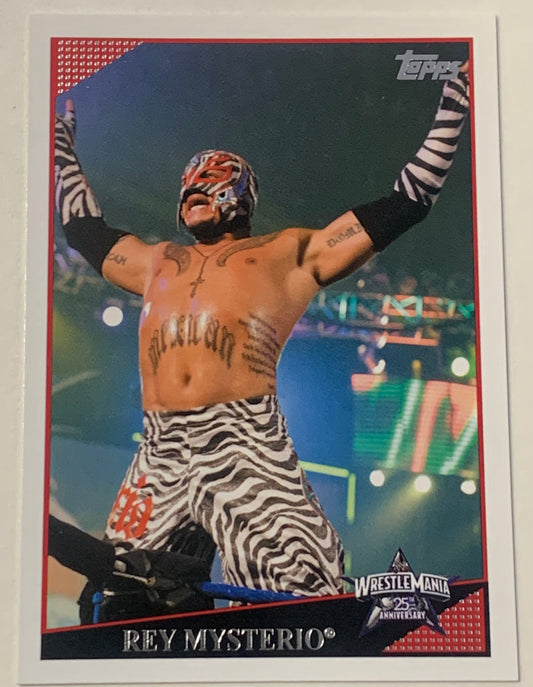Rey Mysterio 2009 WWE Topps Card