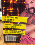 WCW Official Magazine November 1991 (1st Issue Collector’s Edition)