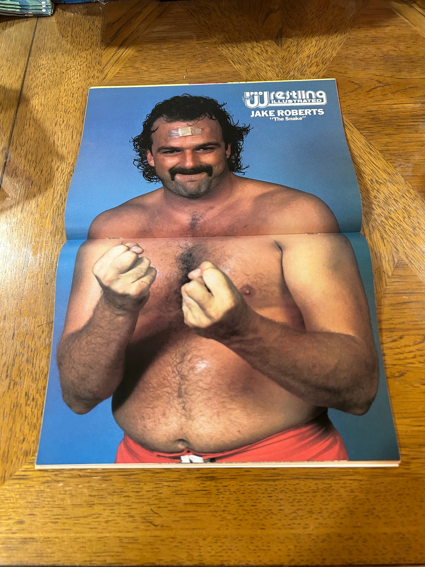 PWI Pro Wrestling Illustrated Magazine Feb. 1989 (Jake Roberts Full Color Poster Inside)