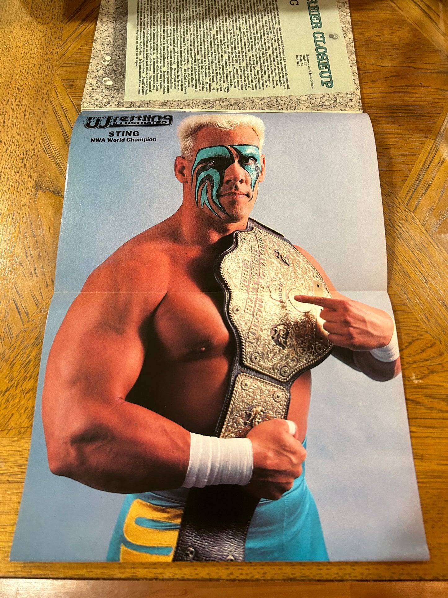 PWI Pro Wrestling Illustrated Magazine Dec. 1990 (AWESOME Sting Full Color Poster Inside)