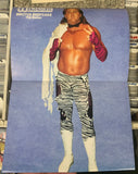 PWI Pro Wrestling Illustrated Magazine Oct. 1990 STING (Brutus Beefcake Full Color Poster)