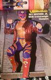 PWI Pro Wrestling Illustrated Magazine Jan 1997 Hulk Hogan NWO (Beautiful Rey Mysterio Full Color Poster Inside)