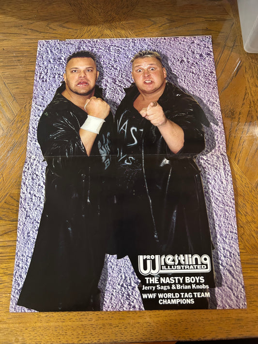 PWI Pro Wrestling Illustrated NASTY BOYS Color Poster