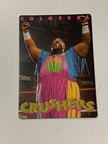 Mable 1994 WWF WWE Action Packed Card