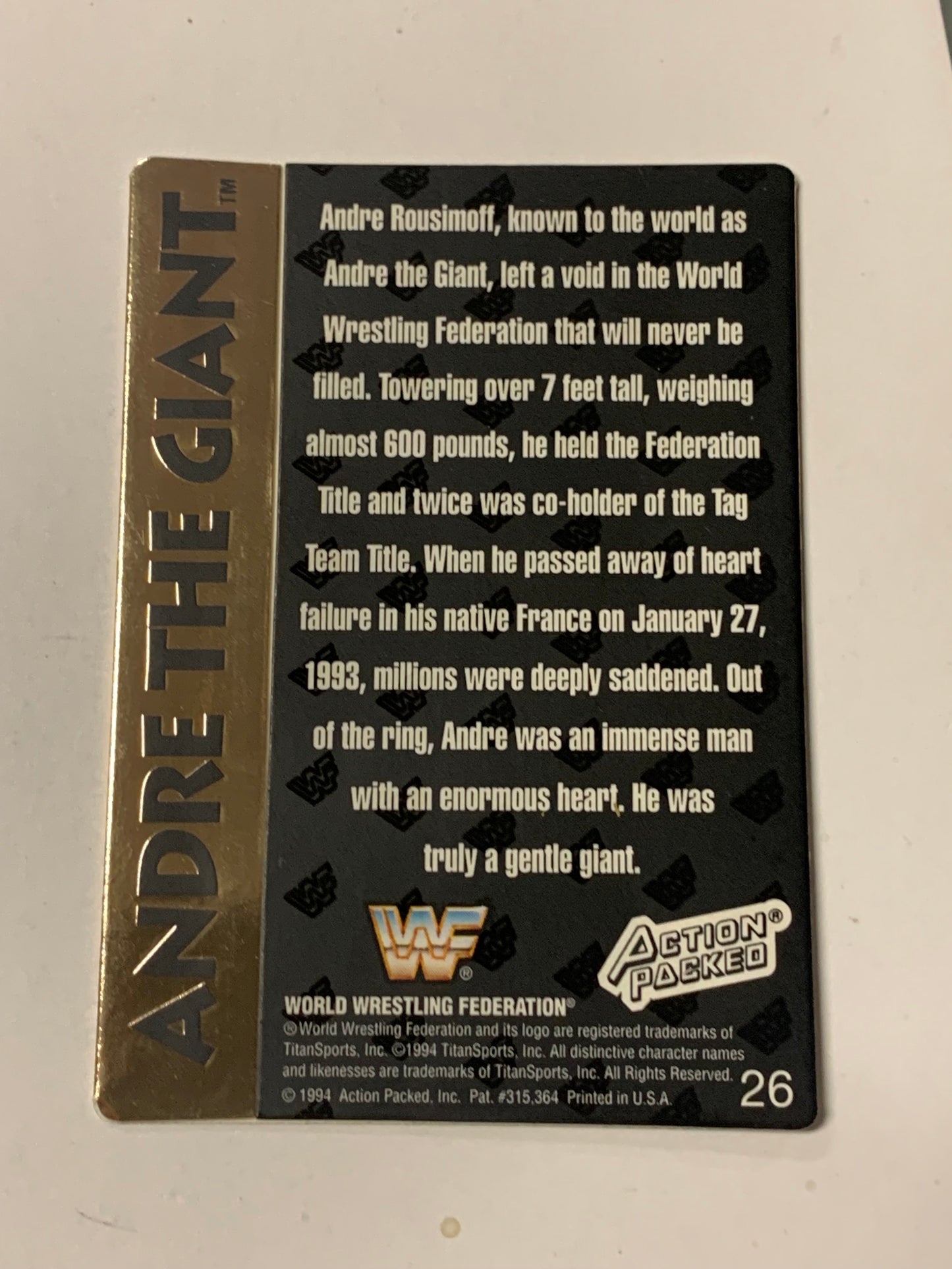 Andre The Giant with Randy Savage 1994 WWF WWE Action Packed