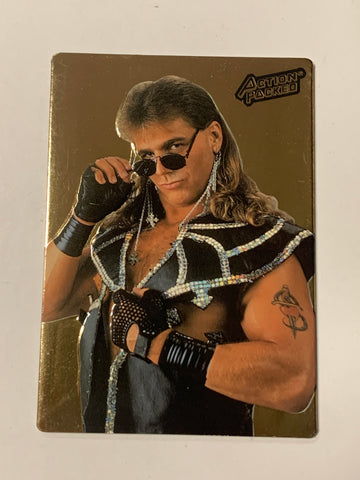 Shawn Michaels HBK 1994 WWF WWE Action Packed GOLD Card