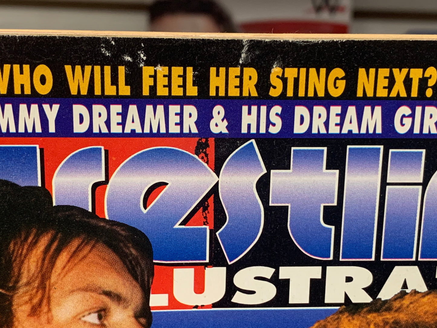 PWI Pro Wrestling Illustrated Magazine Nov. 1996 (ECW poster Dreamer McGillicutty & Kimona)