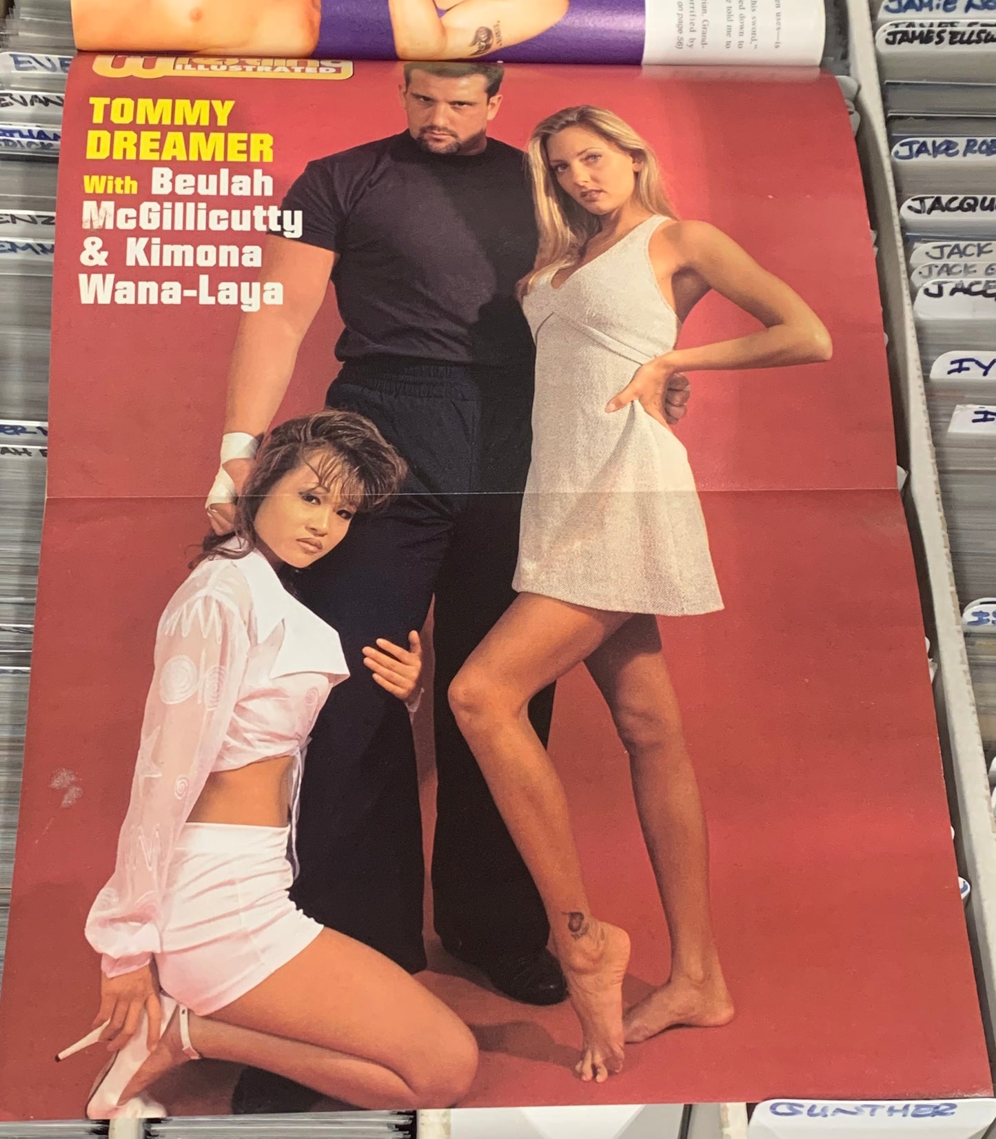 PWI Pro Wrestling Illustrated Magazine Nov. 1996 (ECW poster Dreamer McGillicutty & Kimona)