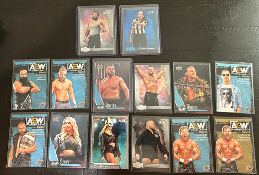 AEW Wrestling Card Lot (14 Different Cards)