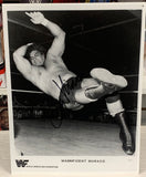 Magnificent Don Muraco Signed 8 1/2x11 Classic Photo (Comes w/COA)