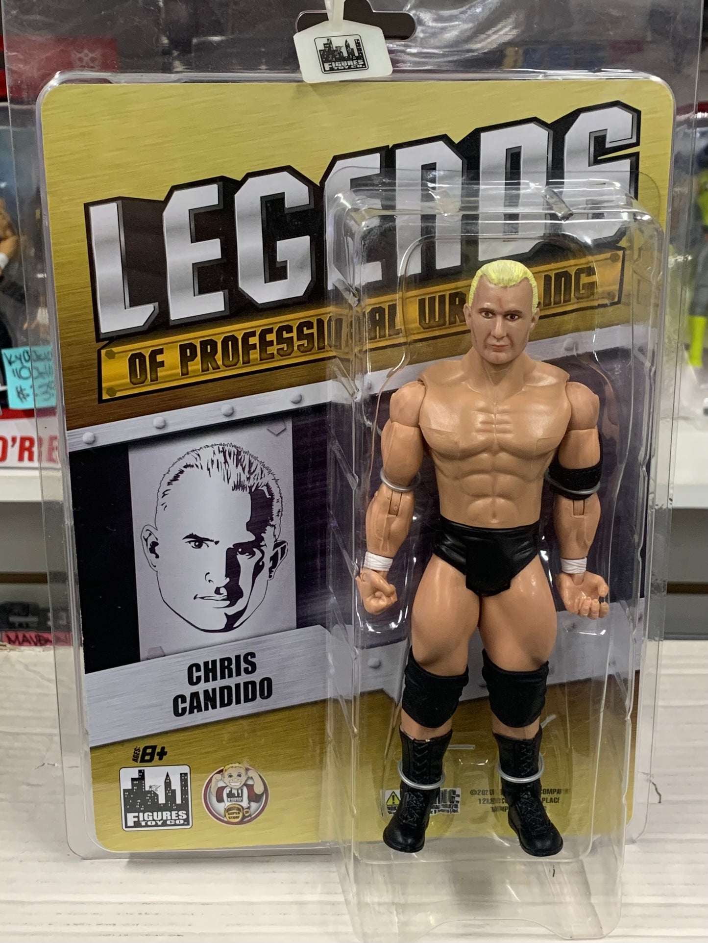 Chris Candido Legends of Professional Wrestling Action Figure (Sealed & Brand New)