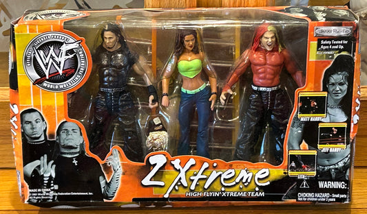 Hardy Boyz & Lita WWE Jakks “2 Xtreme” 3-pack (Hard To Find)