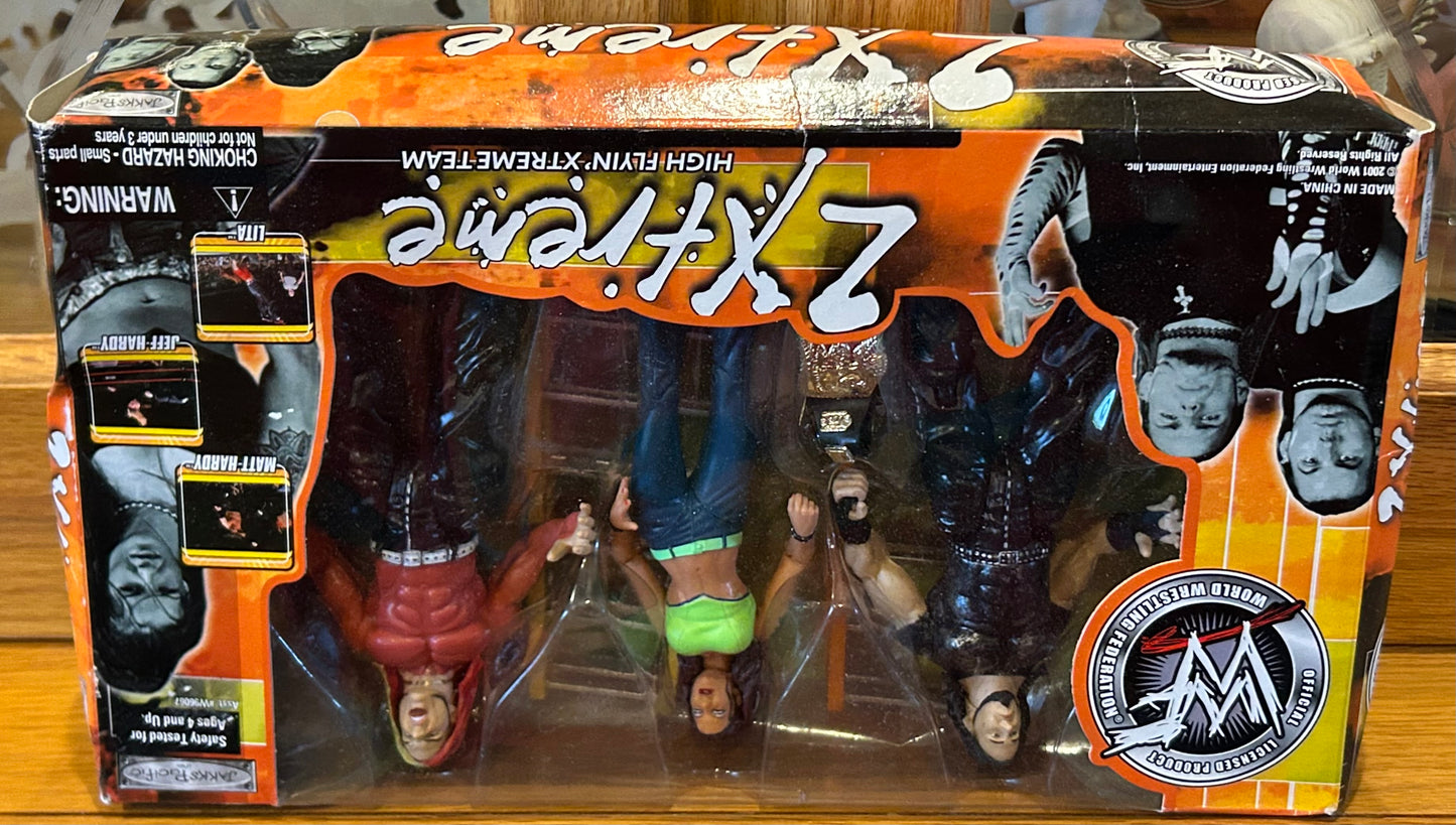 Hardy Boyz & Lita WWE Jakks “2 Xtreme” 3-pack (Hard To Find)