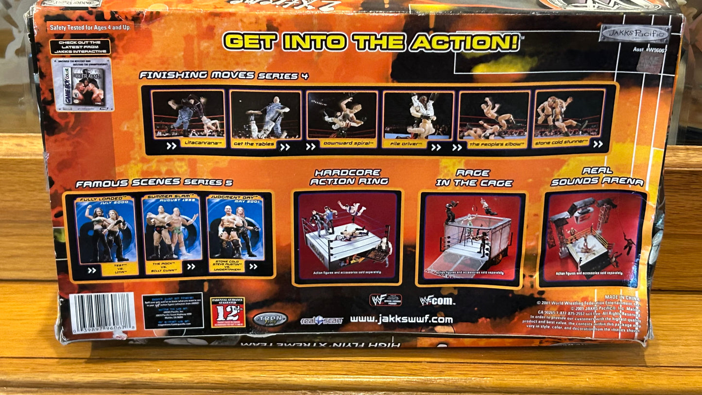 Hardy Boyz & Lita WWE Jakks “2 Xtreme” 3-pack (Hard To Find)