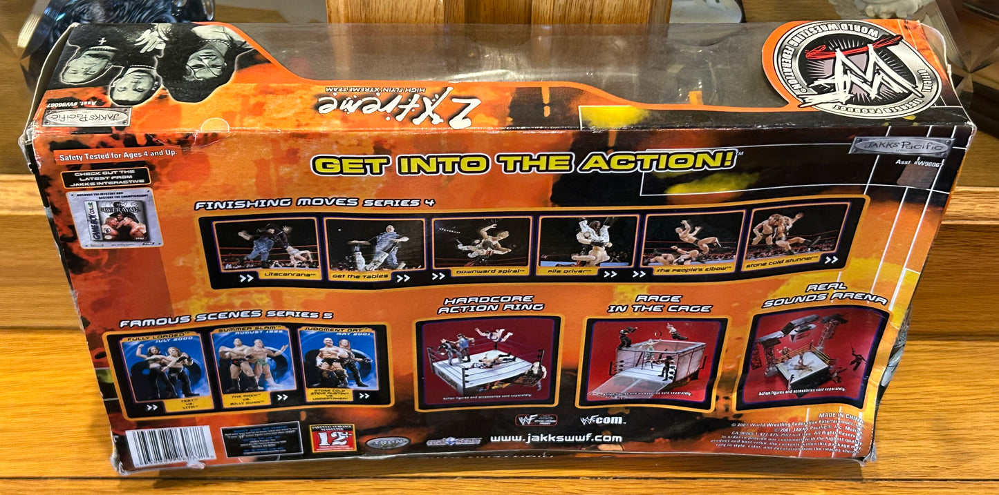 Hardy Boyz & Lita WWE Jakks “2 Xtreme” 3-pack (Hard To Find)