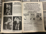 MSG Madison Square Garden Official Program 11/20/1978 (Backlund, Andre The Giant)