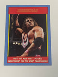 Bret “The Hitman” Hart 2017 WWE Topps Heritage Summerslam Card!!!