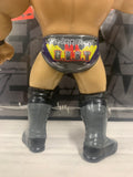 Chris Jericho WWE Retro Action Figure!!!