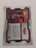 Zoey Stark 2024 WWE Panini Prizm Card!!!