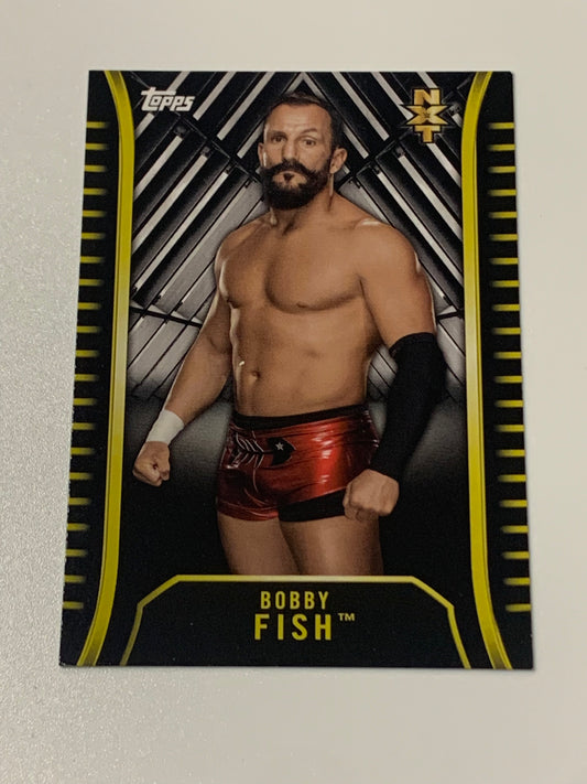 Bobby Fish 2018 WWE NXT Topps Rookie Card
