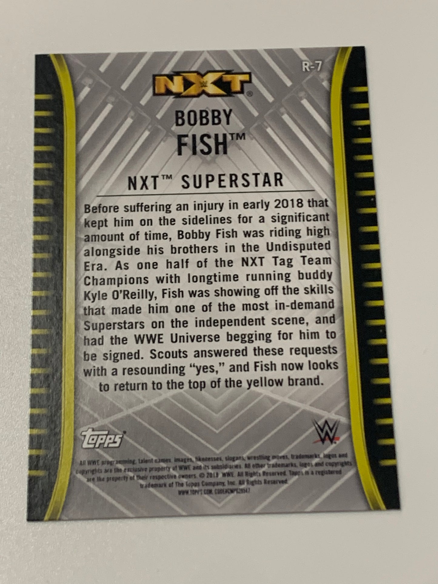 Bobby Fish 2018 WWE NXT Topps Rookie Card