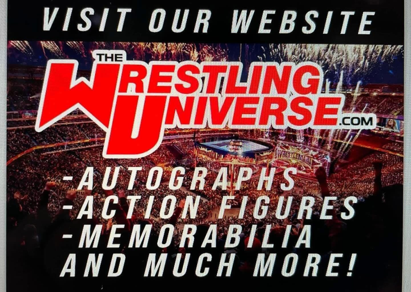 Wildcat Chris Harris TNA Action Figure (Loose, Great Condition)