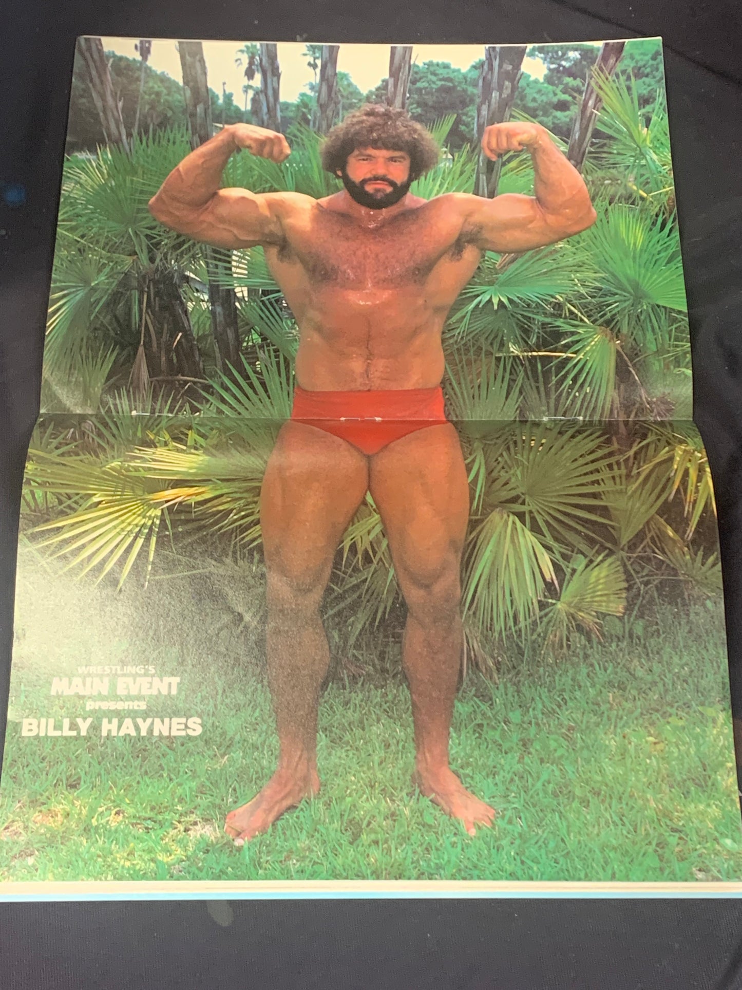 Wrestling’s Main Event Magazine March 1986 Hulk Hogan (Billy Jack Haynes Poster)