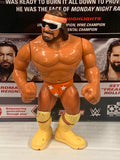 Randy Savage WWF WWE Hasbro Action Figure