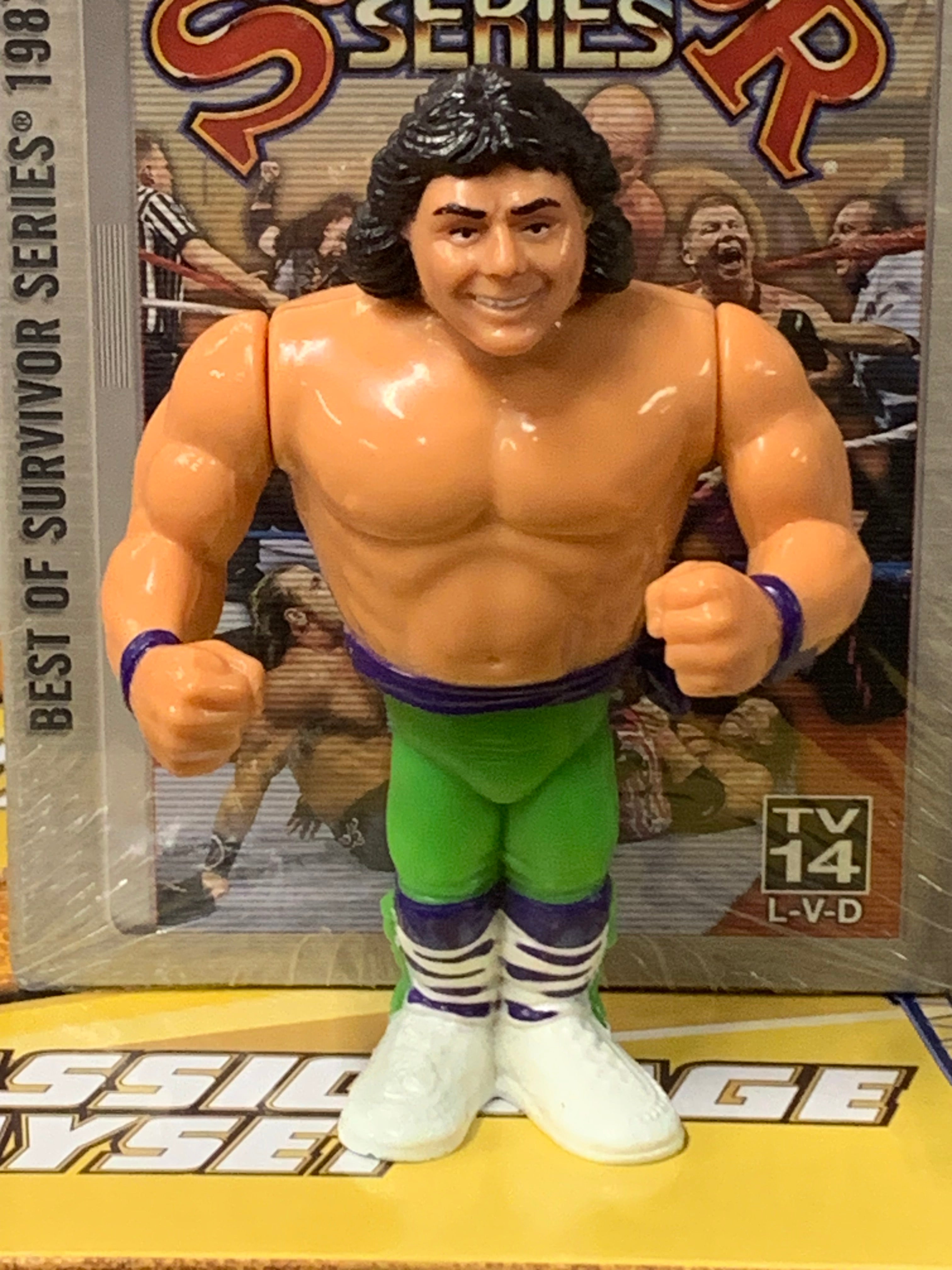 ハズブロ WWF ロッカーズ WWE フィギュア Hasbro – The Wrestling Universe