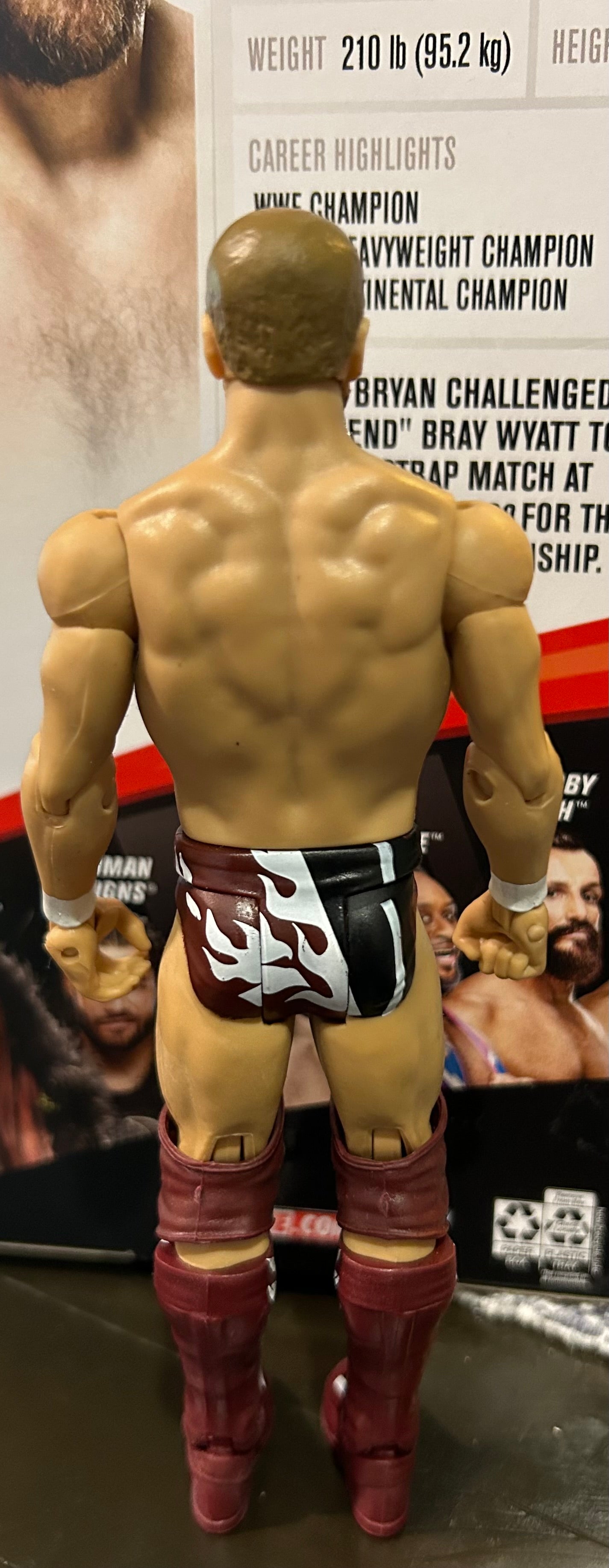 + Daniel Bryan WWE Mattel Action Figure