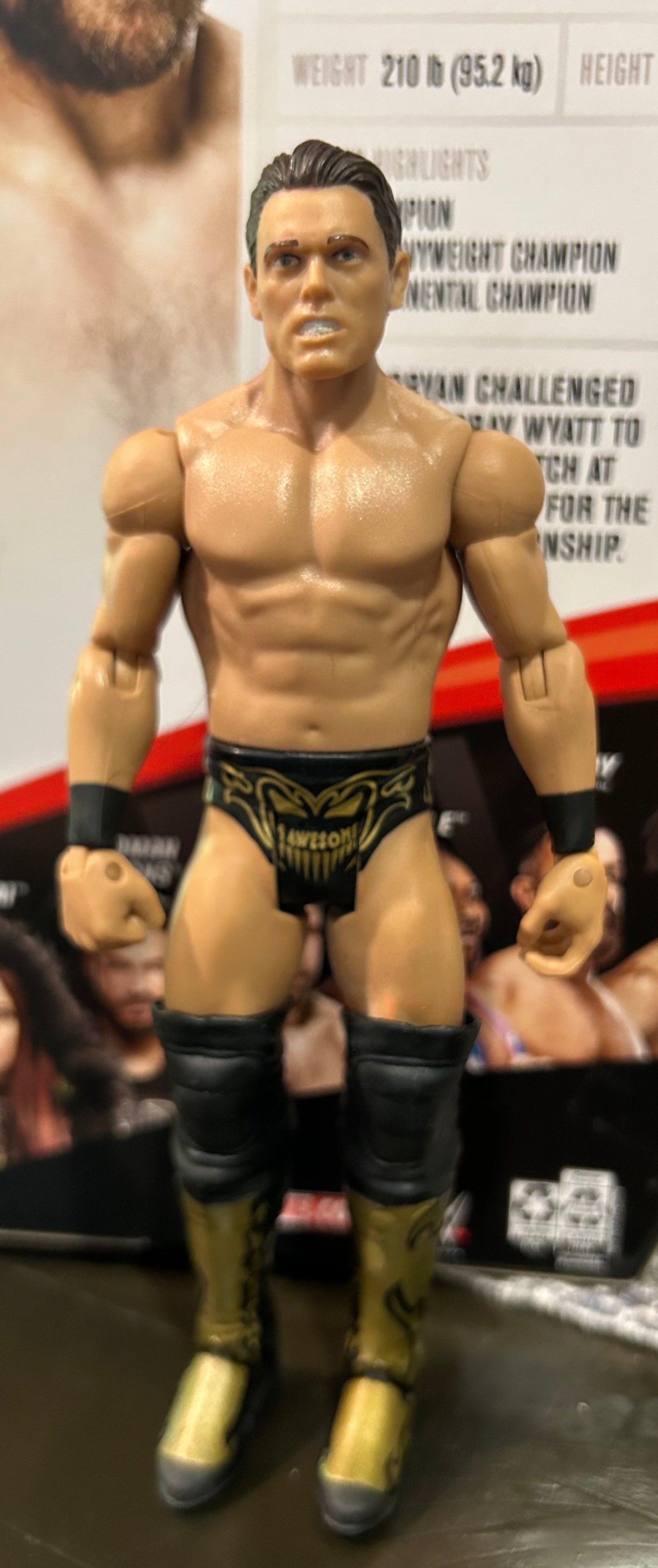 + The Miz WWE Mattel Action Figure