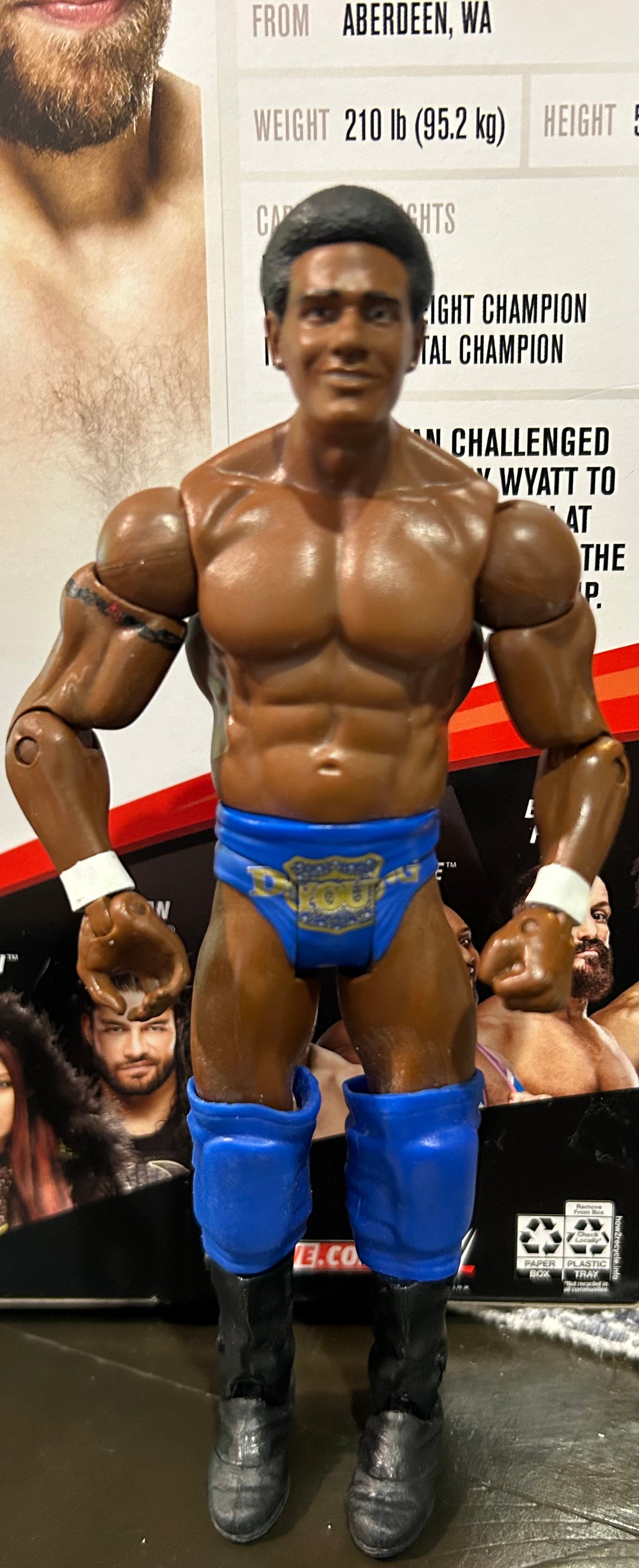 + Darren Young WWE Mattel Action Figure (Prime Time Playas)