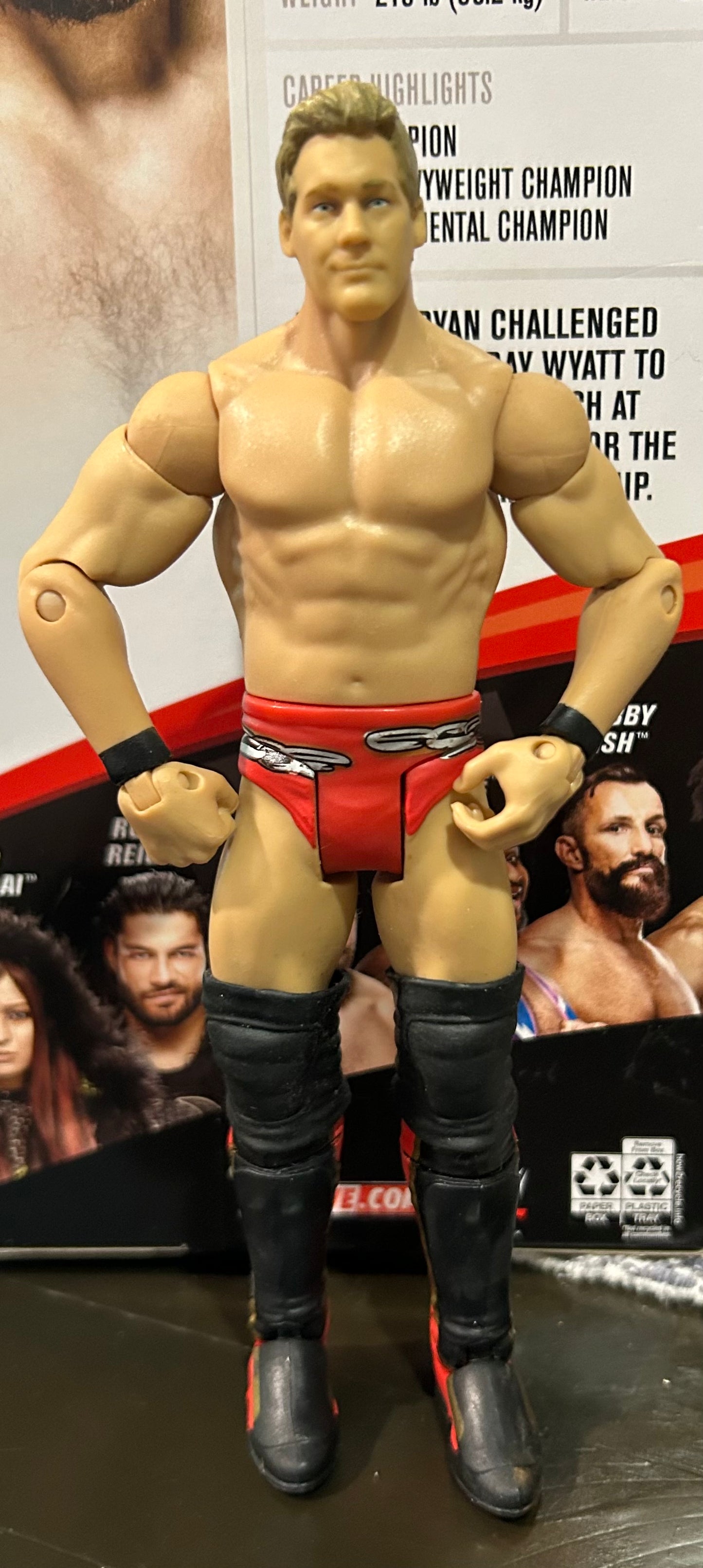 + Chris Jericho WWE Mattel Action Figure