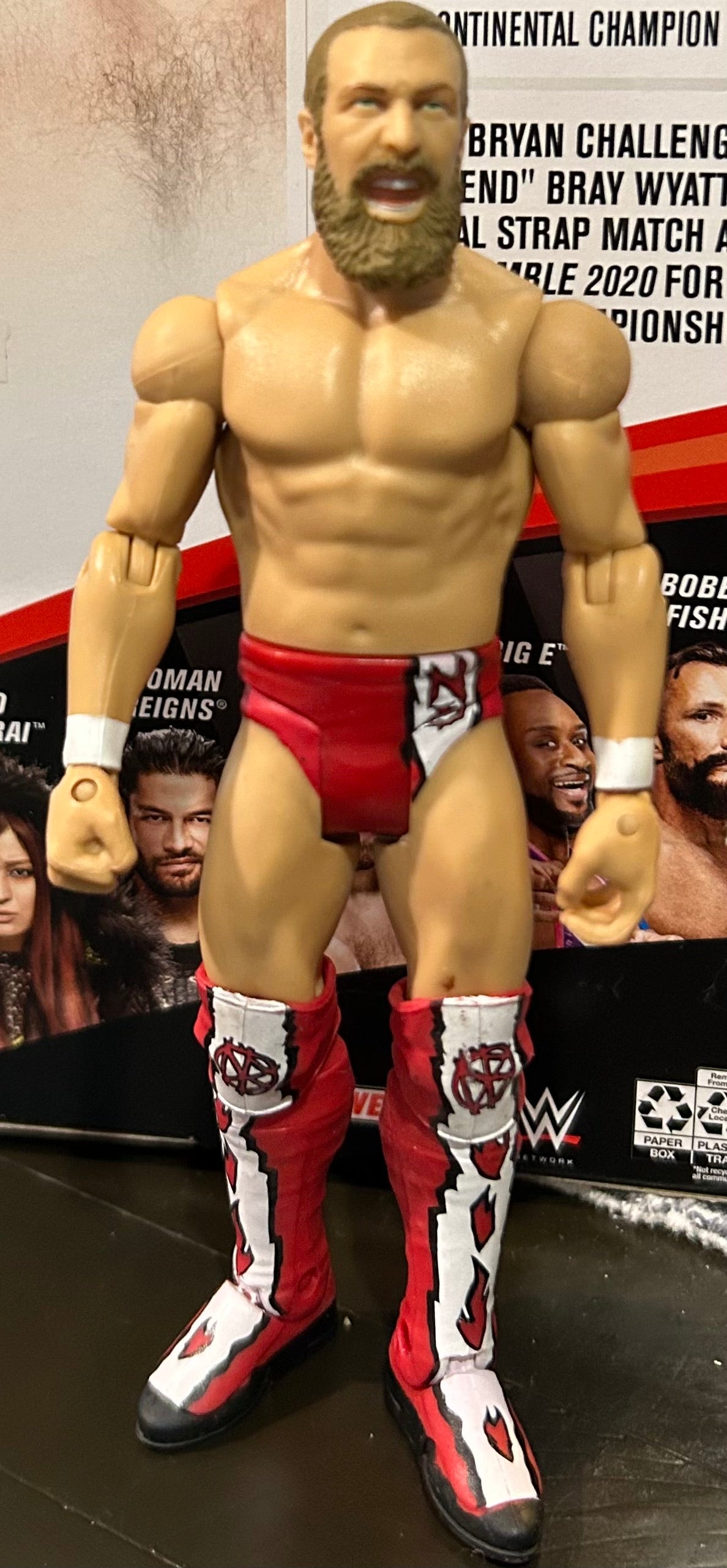 + Daniel Bryan WWE Mattel Action Figure
