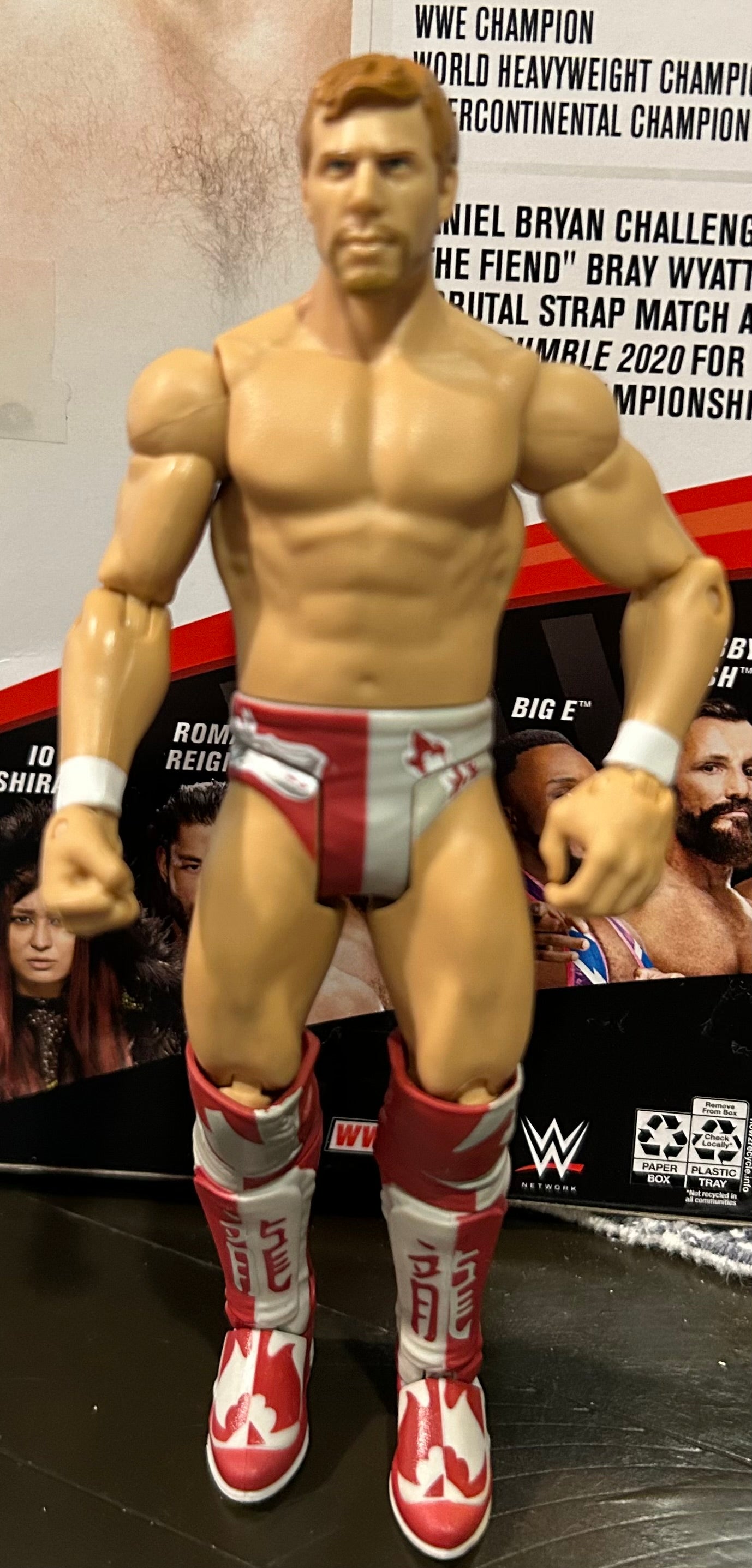 + Daniel Bryan WWE Mattel Action Figure