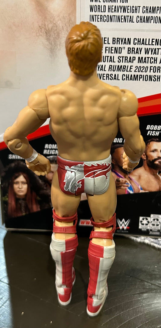 + Daniel Bryan WWE Mattel Action Figure