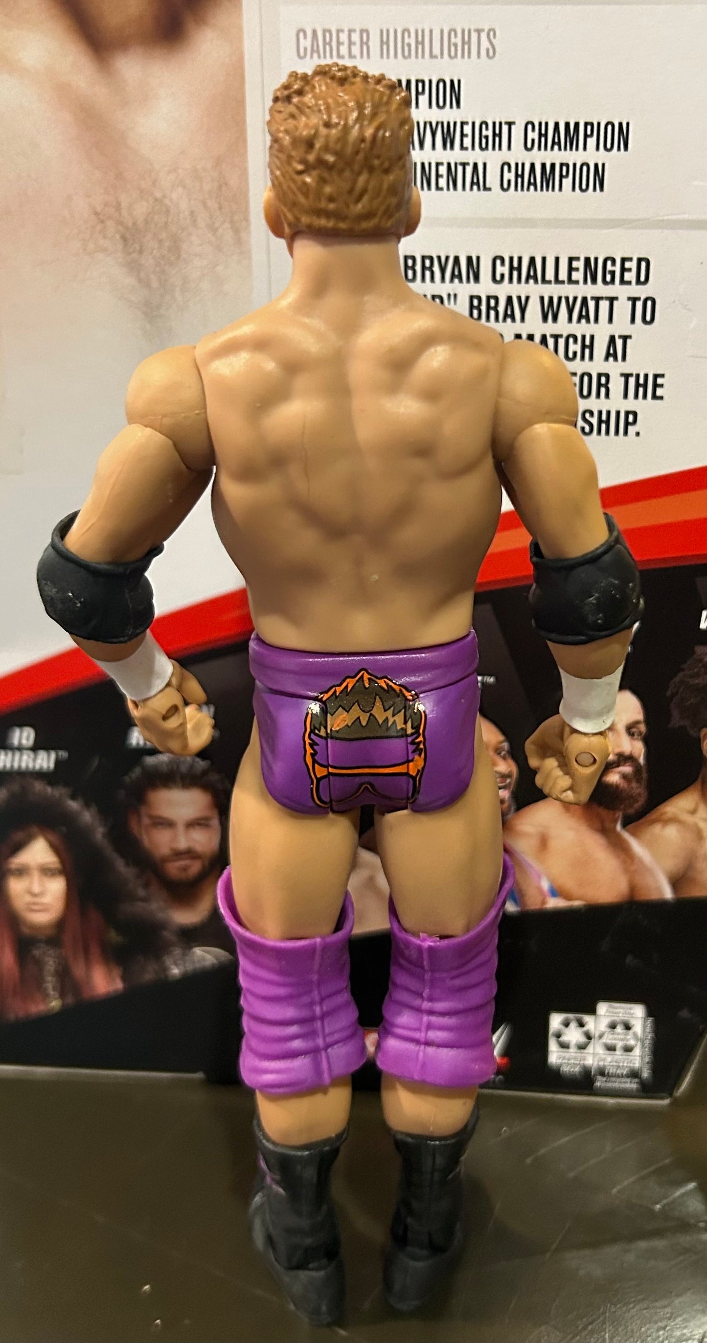 + Zack Ryder WWE Mattel Action Figure