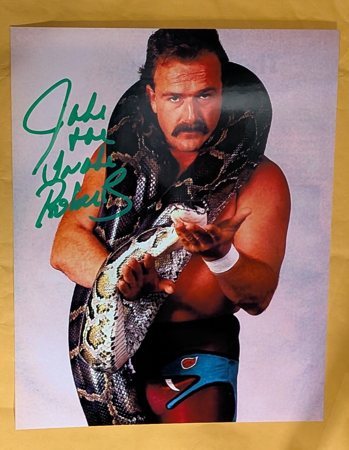 + Jake “The Snake” Roberts Signed WWE 8x10 Color Photo (Comes w/COA)