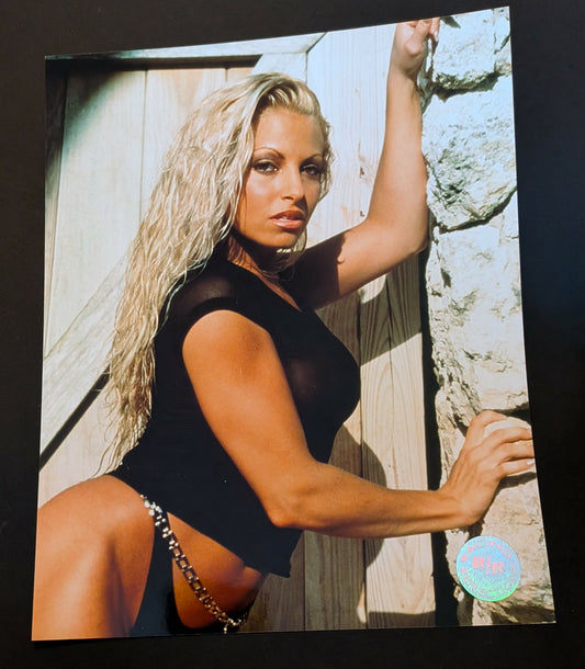 Trish Stratus Racing Reflections Official WWE Photo B