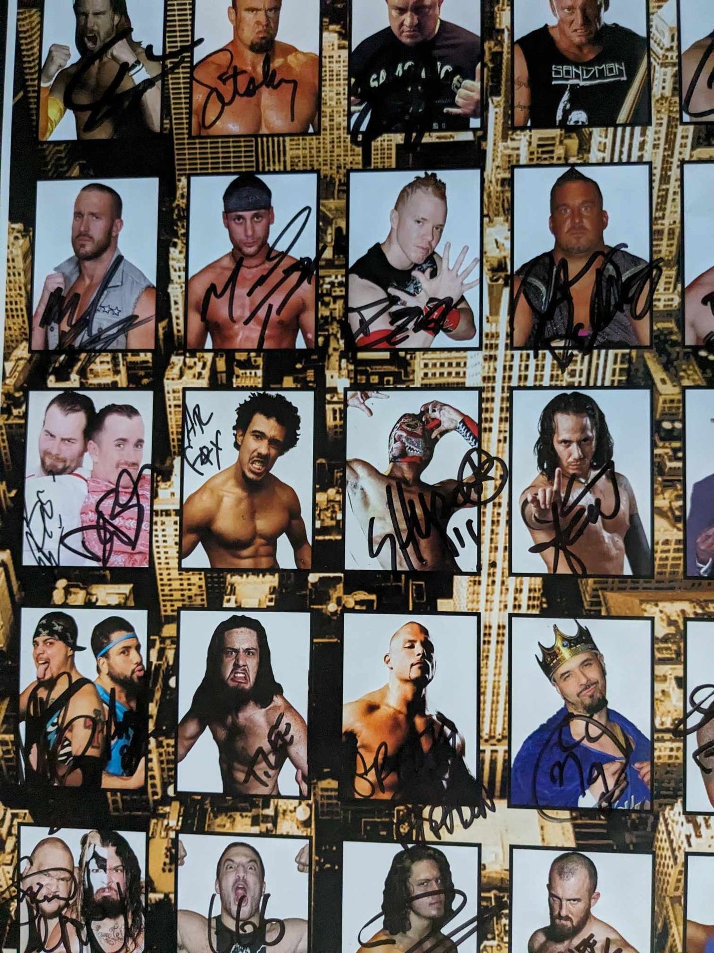 ICW Double Impact Signed 11x17 Poster Photo 30+ Autos