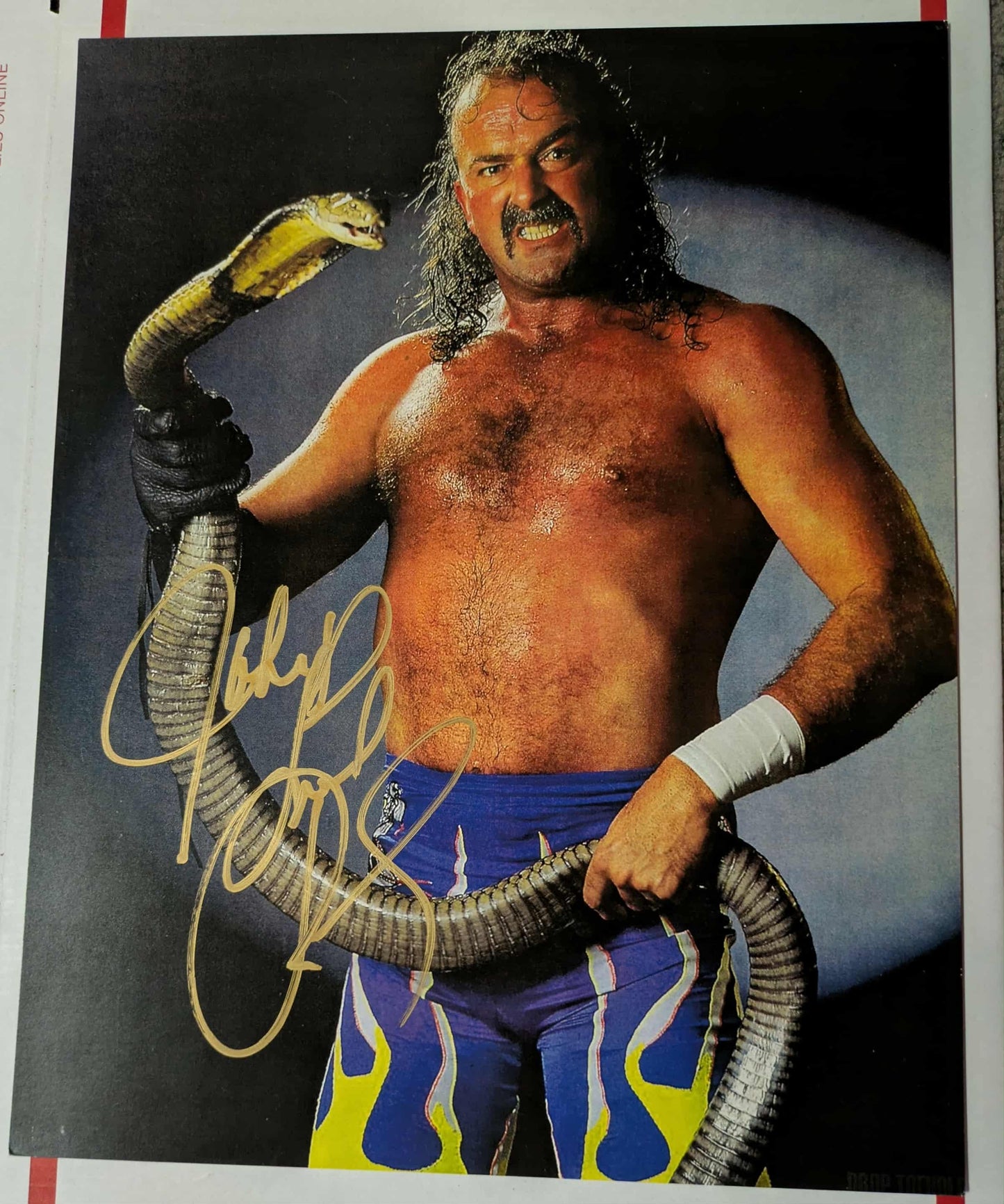 Jake The Snake Roberts 11x14 Classic Photo COA (w/Toploader)